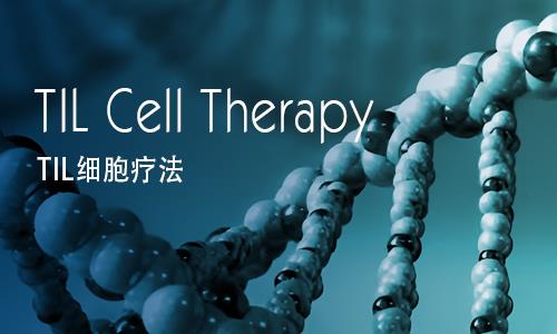 TIL细胞疗法
