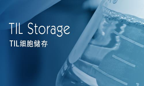 TIL细胞储存