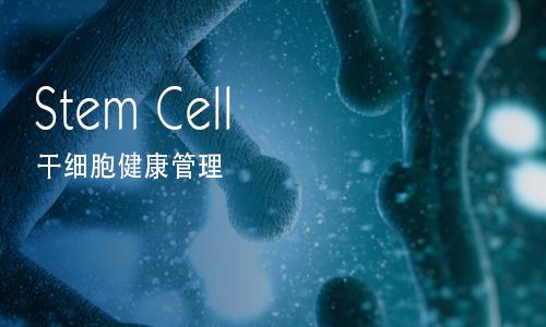 干细胞健康管理
